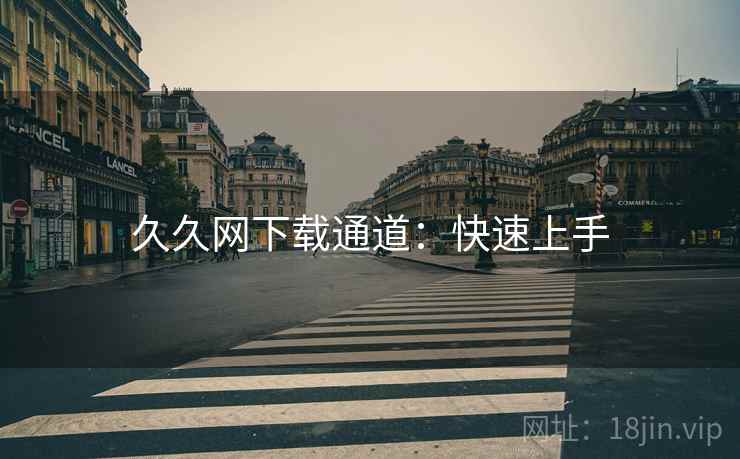 久久网下载通道：快速上手