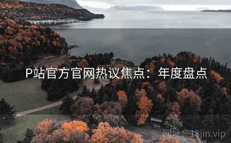 P站官方官网热议焦点：年度盘点