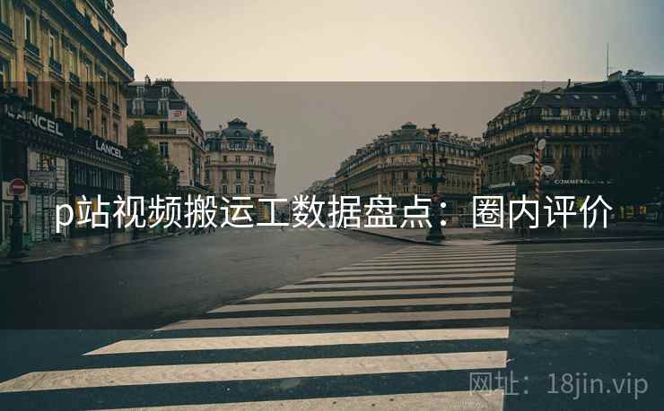 p站视频搬运工数据盘点：圈内评价