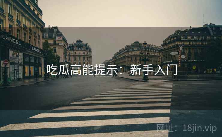 吃瓜高能提示：新手入门