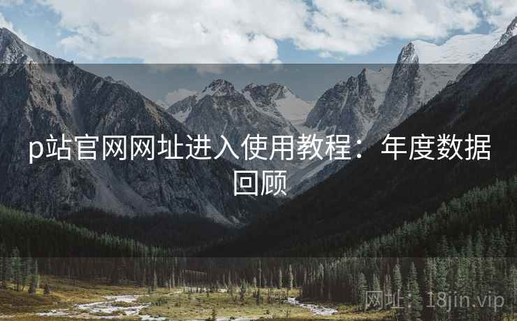 p站官网网址进入使用教程：年度数据回顾