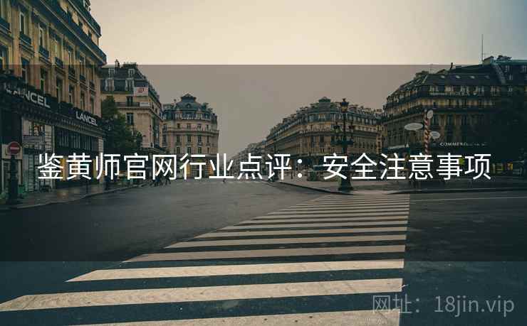 鉴黄师官网行业点评：安全注意事项