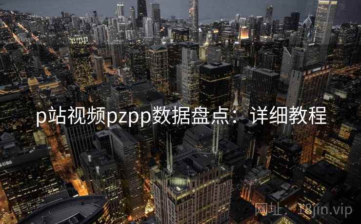 p站视频pzpp数据盘点：详细教程