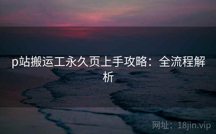 p站搬运工永久页上手攻略：全流程解析