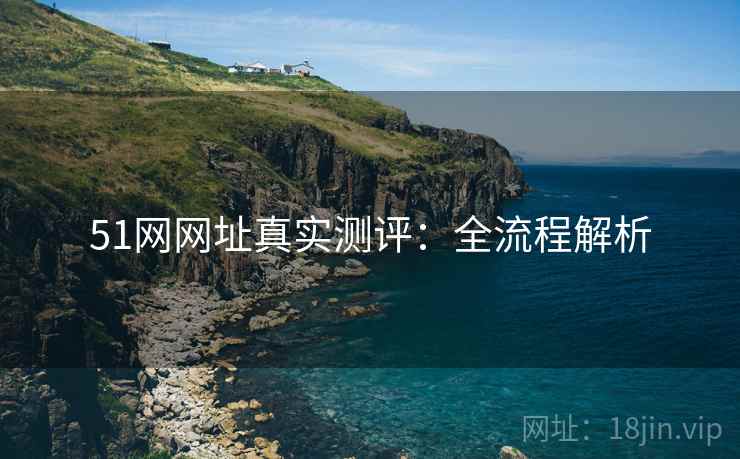 51网网址真实测评:全流程解析
